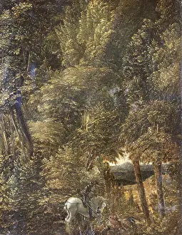 Altdorfer: Altdorfer, Albrecht, (14