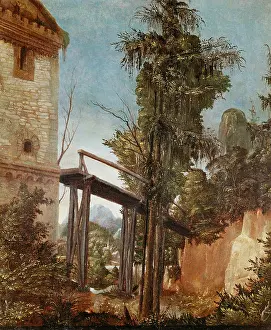 Altdorfer: Altdorfer, Albrecht, (14