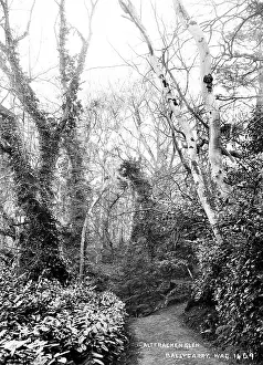 Ballycarry: Altfracken Glen, Ballycarry