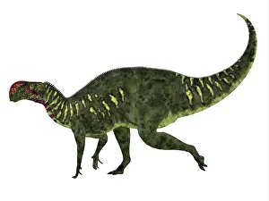 Iguanodont: Altirhinus dinosaur, side profile