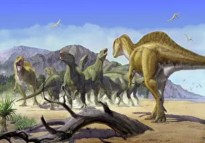 Iguanodont: Altispinax dunkeri dinosaurs attack a group of Iguanodon