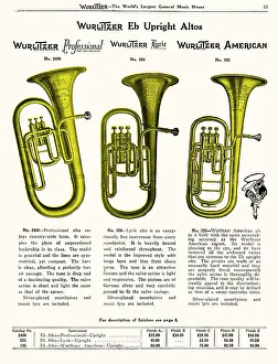 Wurlitzer: ALTO HORN (WURLITZER)
