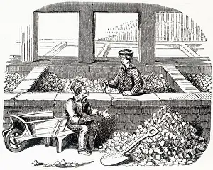 Draining: Alum processing