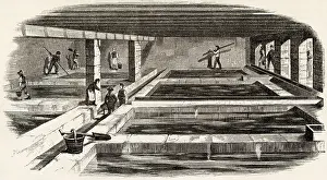 Cistern: Alum processing