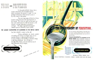 Aluminion: Aluminium Union