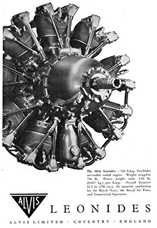Alvis: Alvis Leonides