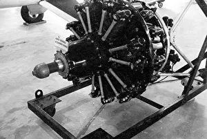 Alvis: Alvis Leonides Major