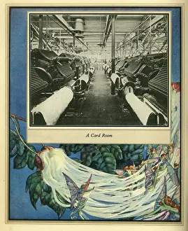 Amalgamated: Amalgamated Cotton Mills Trust Ltd, 1920