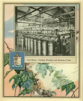 Amalgamated: Amalgamated Cotton Mills Trust Ltd, 1920