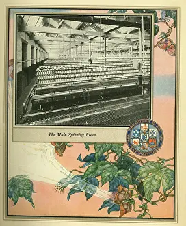 Mule: Amalgamated Cotton Mills Trust Ltd, 1920