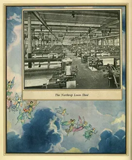 Northrop: Amalgamated Cotton Mills Trust Ltd, 1920