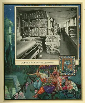 Amalgamated: Amalgamated Cotton Mills Trust Ltd, 1920