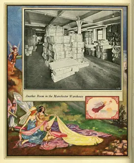 Amalgamated Cotton Mills Trust Ltd, 1920