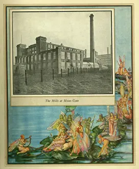 Amalgamated: Amalgamated Cotton Mills Trust Ltd, 1920