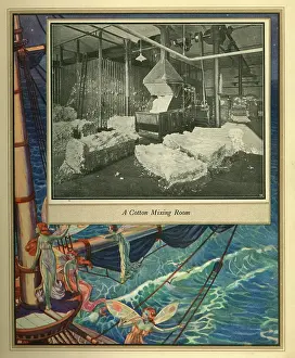 Amalgamated: Amalgamated Cotton Mills Trust Ltd, 1920