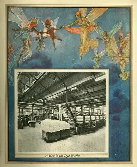 Amalgamated: Amalgamated Cotton Mills Trust Ltd, 1920