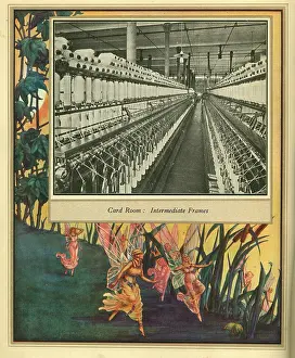 Amalgamated: Amalgamated Cotton Mills Trust Ltd, 1920