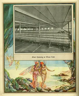 Mule: Amalgamated Cotton Mills Trust Ltd, 1920