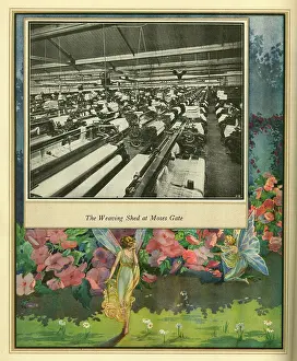 Amalgamated: Amalgamated Cotton Mills Trust Ltd, 1920