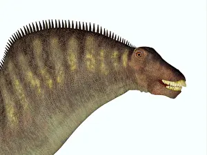 Thick: Amargasaurus dinosaur portrait