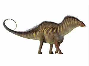 Thick: Amargasaurus dinosaur, side profile