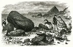 Naturalists: AMATEUR SCIENTISTS