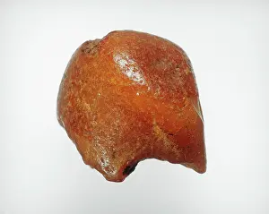 Carr: Amber artifact from Stone Age England