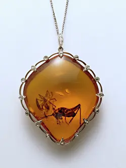 Arachnida: Amber pendant