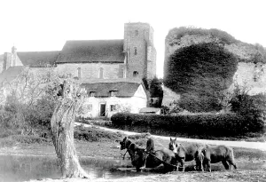 Amberley: Amberley, Church and Castle 1906