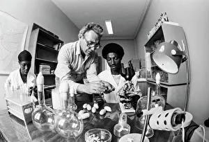Ethiopia: Ambo phytopathological laboratory