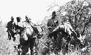 Ambulance: Ambulance man wounded at Latema Reata, East Africa, WW1