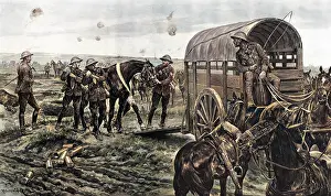 Humane: Ambulance for wounded horses, World War One