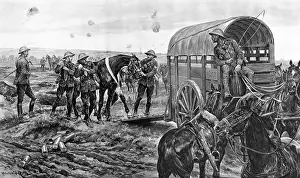 Humane: Ambulance for wounded horses, World War One