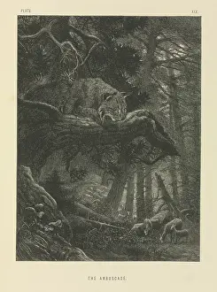 Ambush: The Ambuscade
