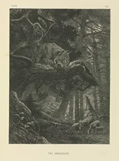 Ambush: The Ambuscade