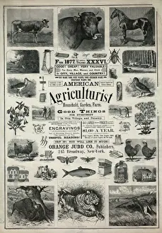 C1876: American agriculturist