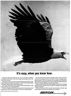Airlines: American Airlines