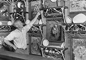 Archaeologist: American archaeologist with prehistoric finds
