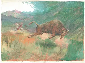 Rankin: American Bison