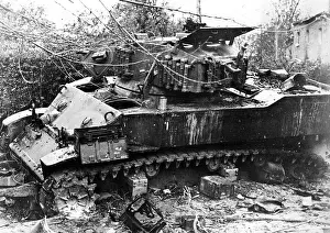 Particular: American blade tank destroyed on the Western Front, 1944