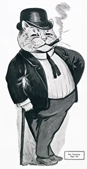 Yank: The American Cat as seen by Louis Wain
