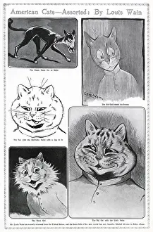 Dec22: American cats - assorted by Louis Wain