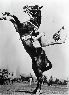 Equestrienne: The American equestrienne Dorothy