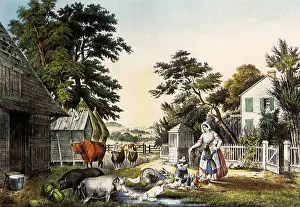 Barnyard: American Farm Scene