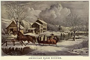 Boonies: American Farm Scenes