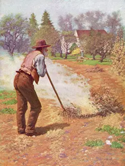 Weeds: AMERICAN FARMER SPRING