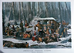 Sugaring: American Forest Scene, Maple Sugaring