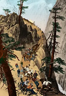 Corduroy: American Gold Rush