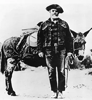 Minerals: American gold rush