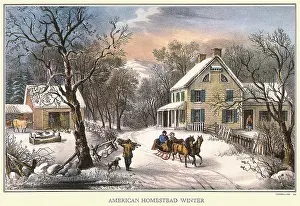Homestead: American Homestead Winter